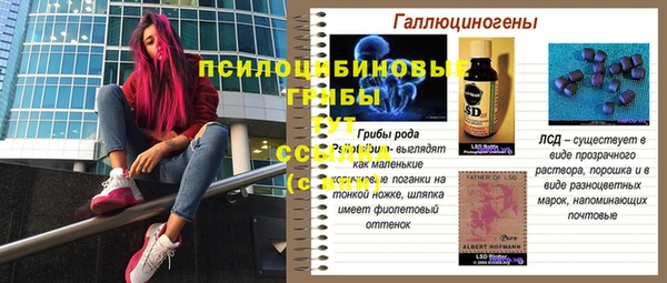 дмт Горняк
