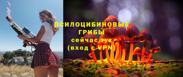 кокс Вяземский