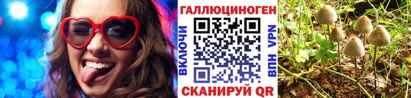 Псилоцибиновые грибы мухоморы  где найти наркотики  omg   Междуреченск 