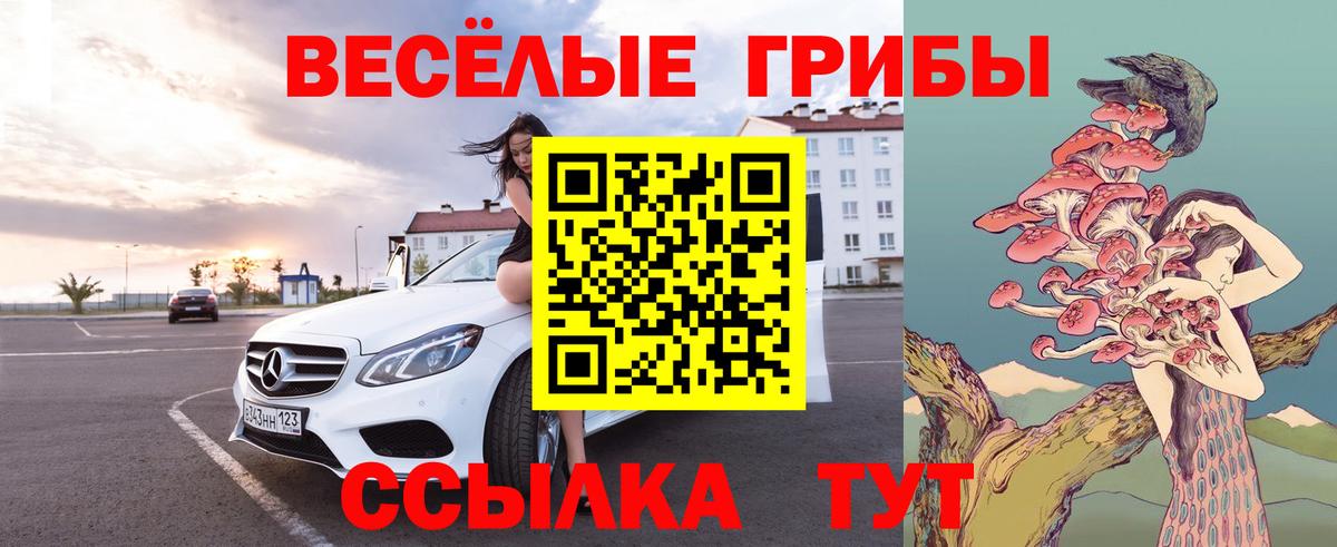 Галлюциногенные грибы Psilocybine cubensis Междуреченск