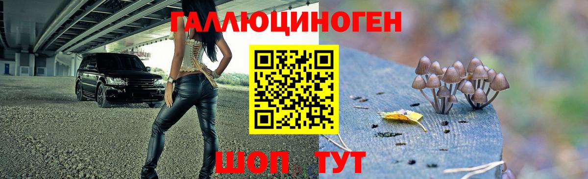 цены наркотик  Псилоцибиновые грибы ЛСД  Вход с VPN  Междуреченск 