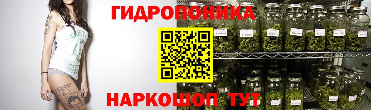 Бошки Шишки семена Междуреченск